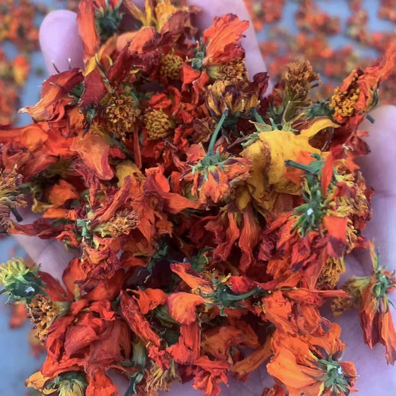 微信图片_20240805223941