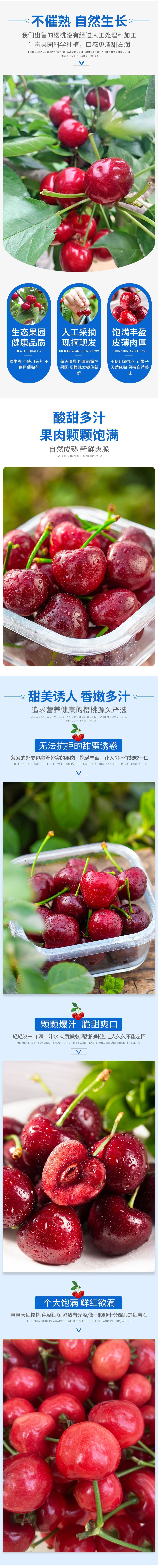 山东大樱桃(美早+红灯)_02