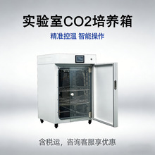 ������̼���B�䌍��Ҍ���CO2���：�����B�����ˮ��ʽ���B��