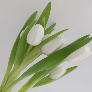 38�DŮ���r�������������r������ֱ����˾�Fُ����ˮ���ɫ�W�t��