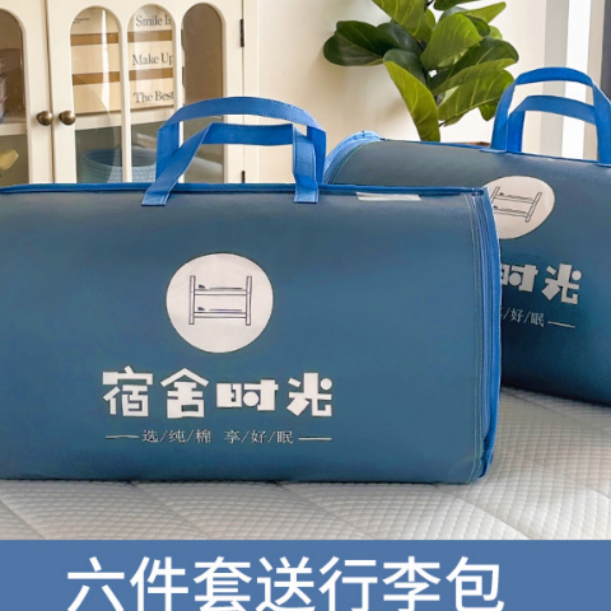 Juego de cama de dormitorio femenino de tres piezas para estudiantes universitarios Sombrilla de cama de algodón puro Sábana individual Funda de edredón Juego de cama de cuatro piezas de seis