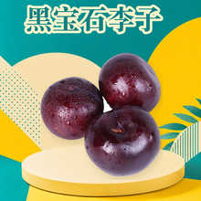 河南西峡黑宝石李子 一件代发2/3/5斤酸甜黑布林礼盒彩箱新鲜水果
