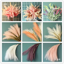 ����ɫ�ݻ�޹�²���β�ݼٲ����JȔ�����S��ë��ѿ��β�ͻ����ɻ�