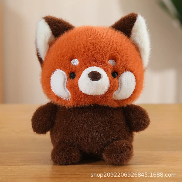 Raccoon