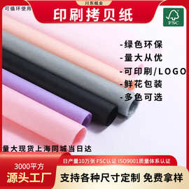 快递雪梨纸17克彩色拷贝纸服装内衬纸玻璃制品包包防潮包装纸批发