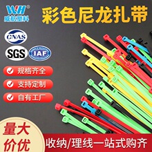 ���l ��ɫ���iʽ�������� ���������̶�����ɫ���x���|����