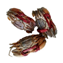 [170-250]�� ĸз������зҰ���S�ͺ��r��ش�t��зĸ�t�\���