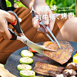 家用剪刀;厨用剪刀;修枝剪