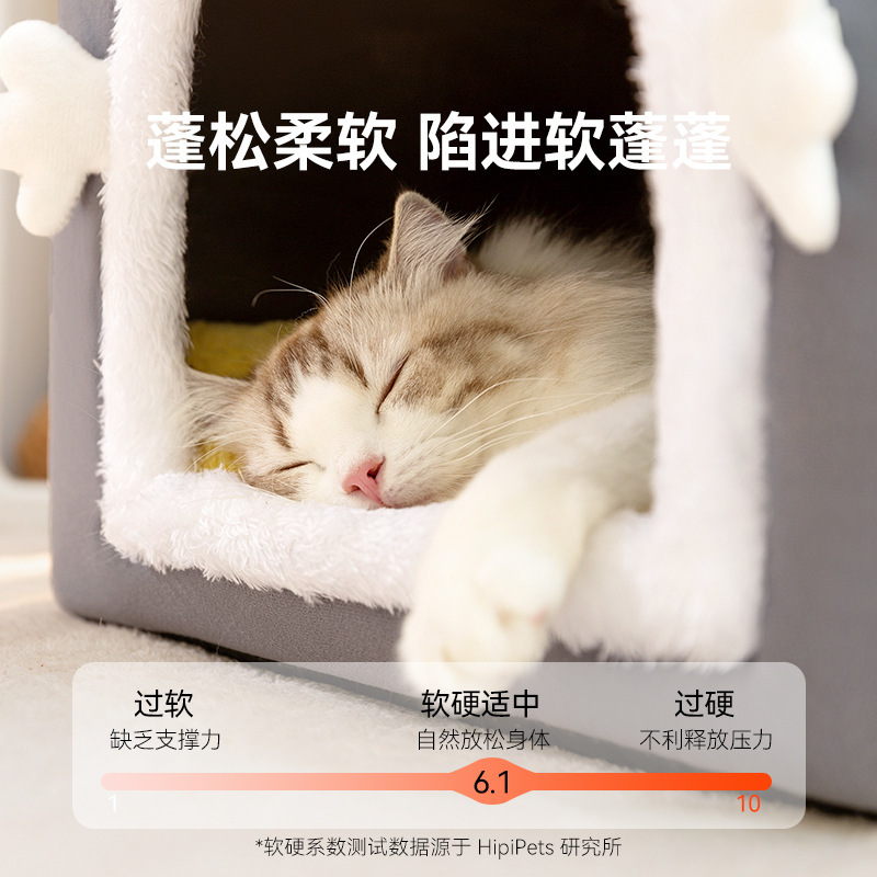 Otoño y invierno, bolsa de arco, ojos grandes, gato lindo, cerrado, cálido, perro, Teddy, perro grande, pelo dorado, mascota