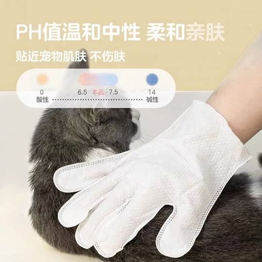 Pet wash-free gloves disposable bath pet supplies wholesale pet wipes dog rubbing gloves 6 pieces