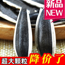 rԭζɹ363ӬFʳСɢb5