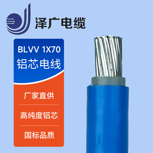 �S��ֱ�NBLVV1*70ƽ���Xо늾� ������l�X��|�X�Ͻ�䓽g��