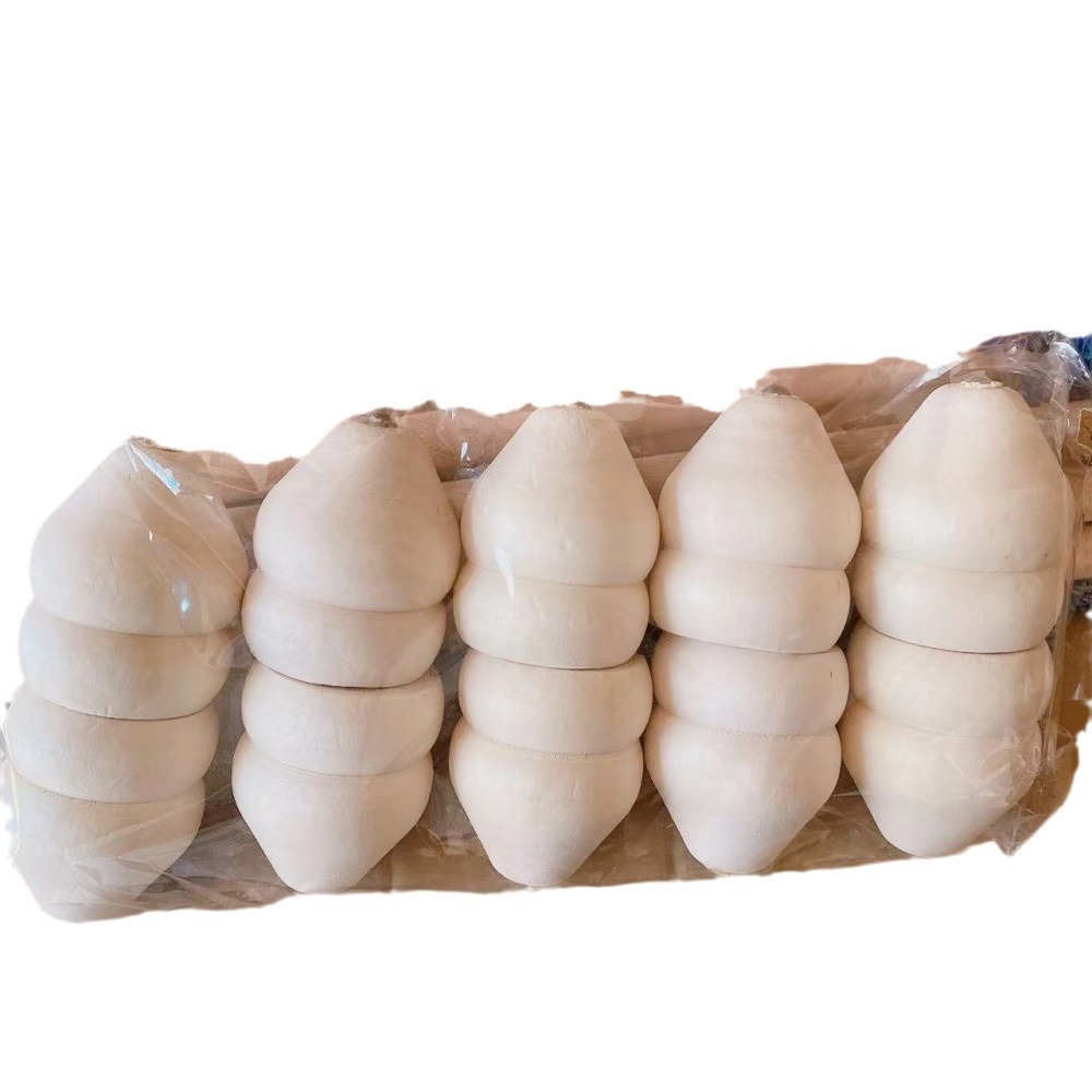 Fábrica al por mayor giroscopio de madera de gran tamaño tradicional juguete nostálgico niños giroscopio giratorio madera clásica madera para adultos