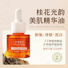 ����Ժ���׵���Ę�������B�w�澏�����̝��aˮ�𻨹���������A��