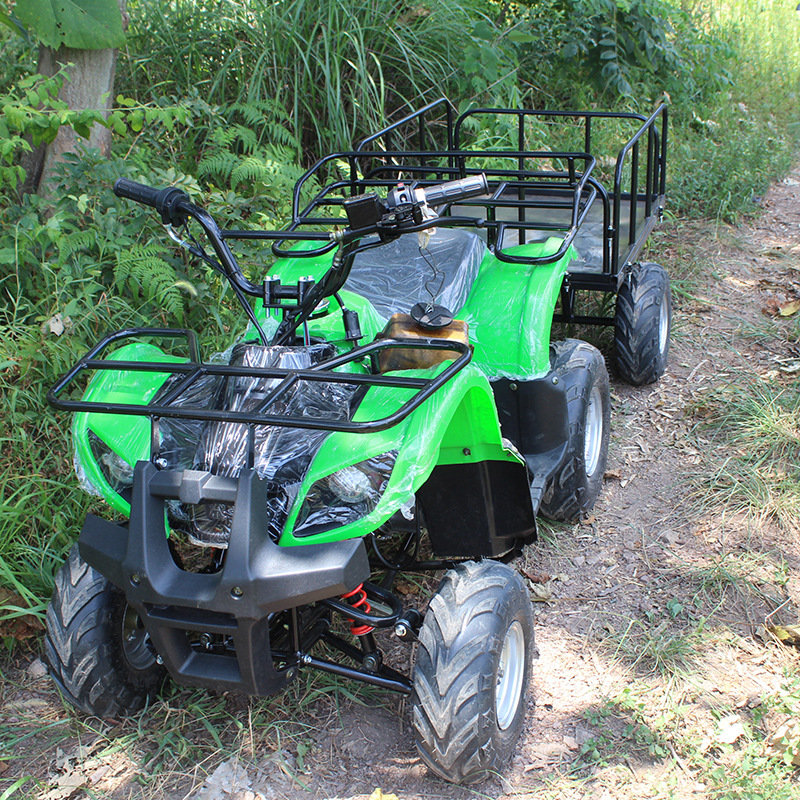 Cuatrimoto Todoterreno Agrícola 125cc de Hierro y Plástico con Transmisión por Eje image 4