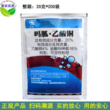 20�� 20%���������~��������ͪ��������ͪ �rș���Ѳ�����������