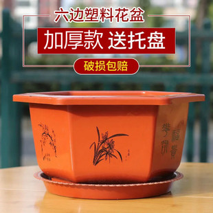 Hexagonal Plastic Flower Pot Resin Thickened Large Bonsai Bonsai Fleshy Green Diet Chlorophyll Simple Flower Pot Wholesale