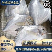 冰冻大号金鲳鱼黄鱼冷冻水产金鲳鱼批发冷冻冰鲜整箱批发
