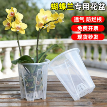 ͸�����Ϻ����m������ɽ�ظ���Ӻ����ϼ����m���Gֲ���ܻ��仨��