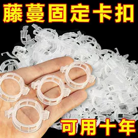 园艺工具;衣钩/挂钩;奶瓶奶嘴刷