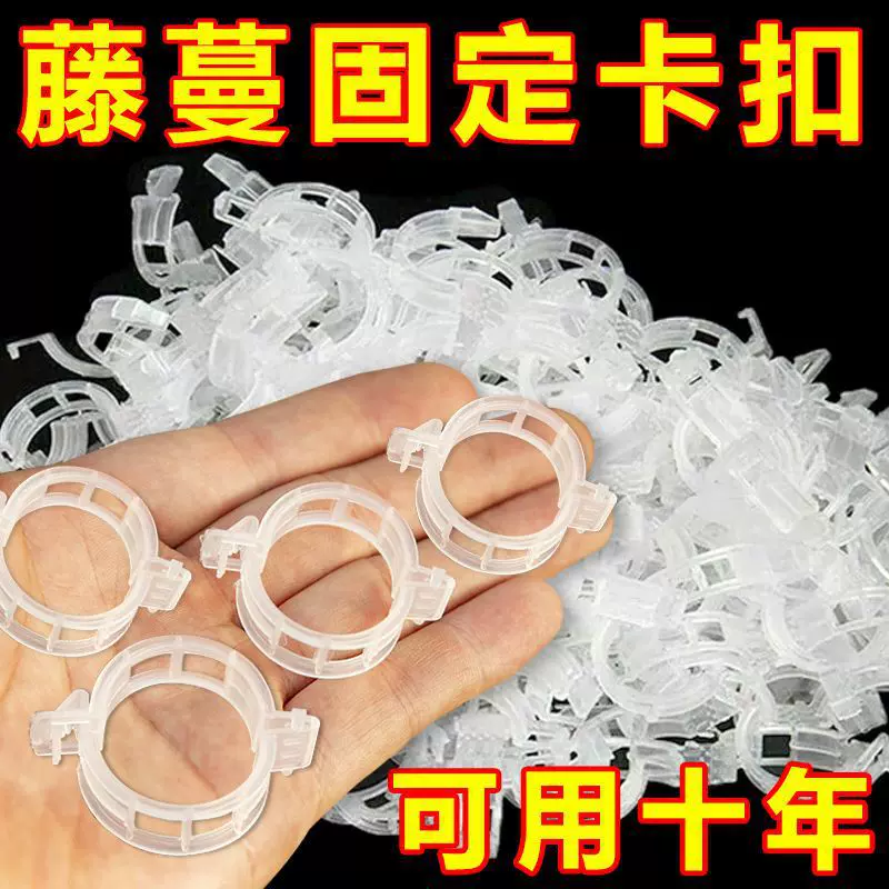 藤蔓固定夹绑蔓夹固定卡扣葡萄藤固定扣大棚番茄黄瓜秧苗固定夹子