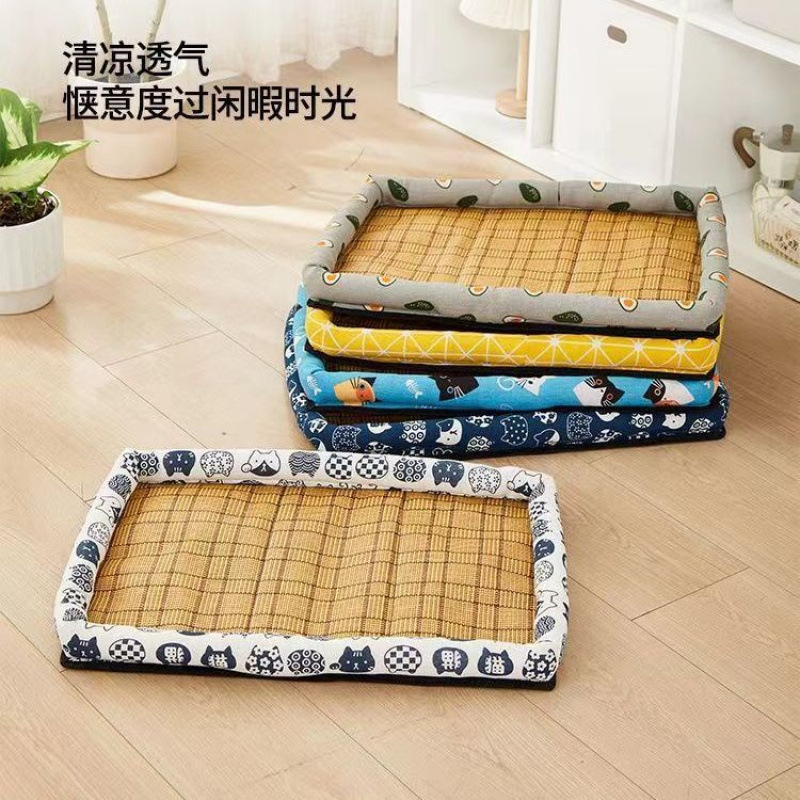 흰 고양이 머리【작은 태양】