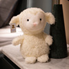 Little lamb
