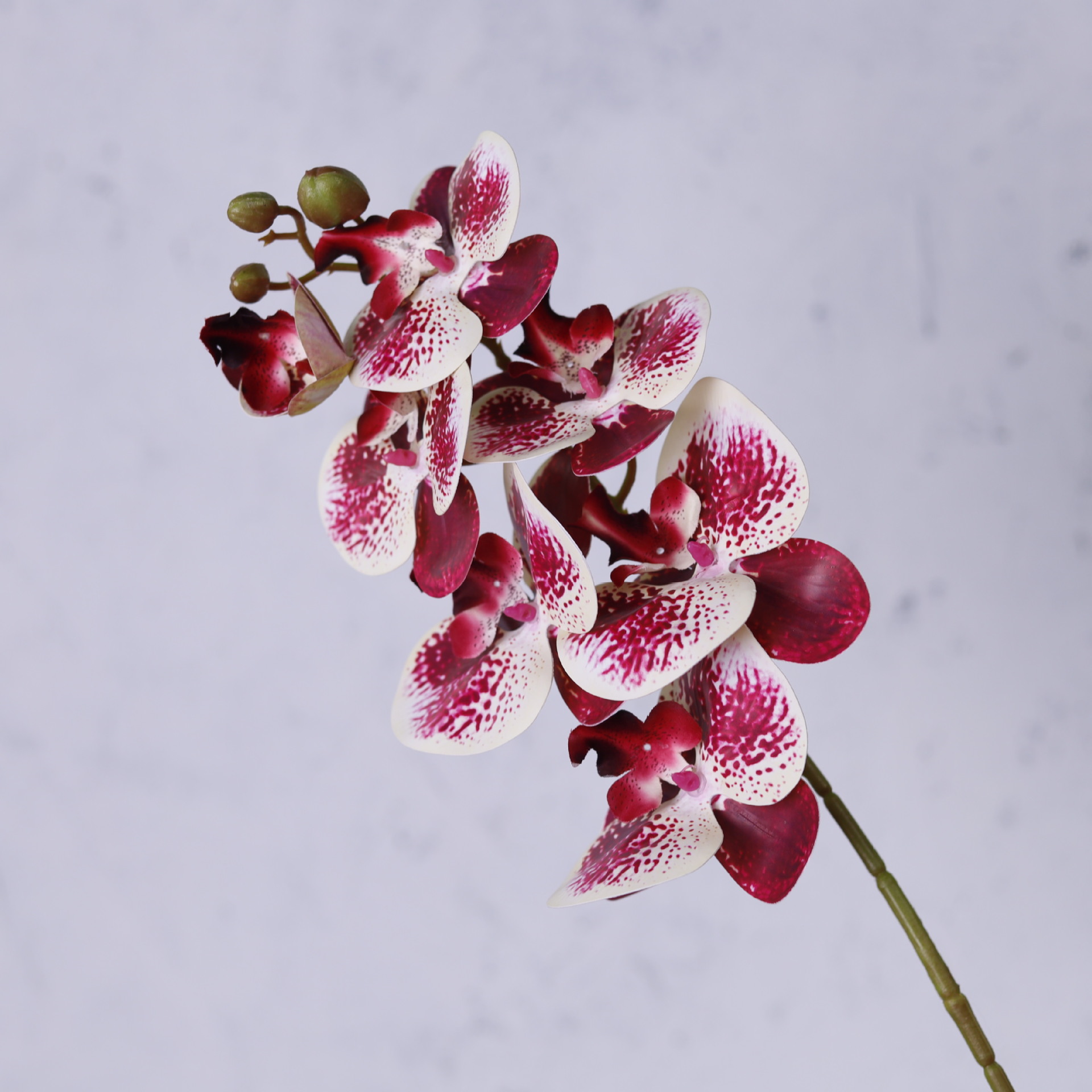 Impresión 3D de 7 cabezas de orquídeas mariposa flor de decoración de flores de alto nivel flor de nicho decoración floral decoración de sala de estar