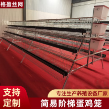 A�����A��ʽ���u�\�Č����T����\�u���Bֳ�����u�\��ʳ�۾Gʳ��