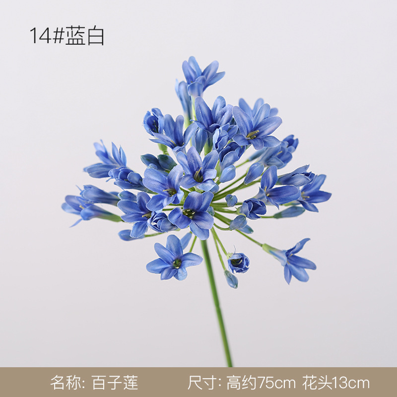 백자련 - 14#파란색과 흰색