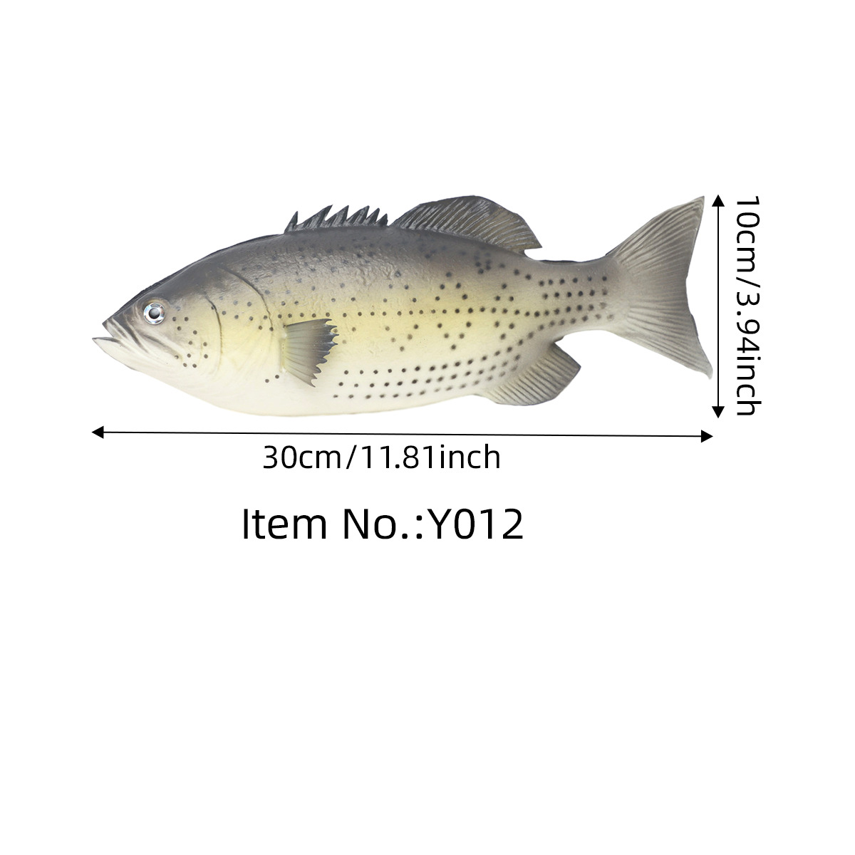 꽃 포인트 물고기