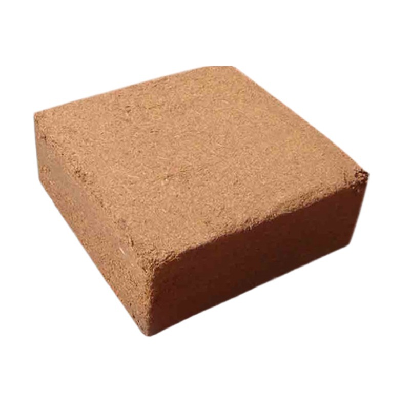 O1CN019TEDhL2HVxZXwbiu9_!!2609