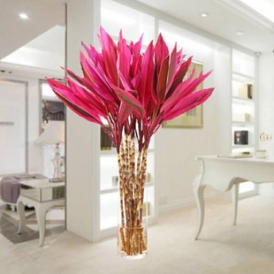 ���F��ˮ�B�����D�\��ˮ��ֲ�������^���ļ��҃ȃ����՚�.