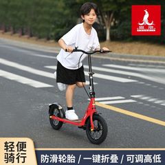 鳳凰青少年はスケートボードを代行します。