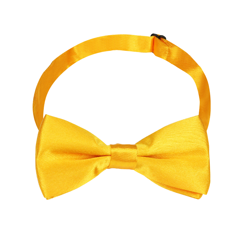 ↤↤↤황금빛 어린이 나비넥타이