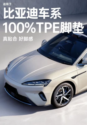 Modelə uyğun ayaqaltı Song L/Pro, Dolphin, Sea Lion - custom-made-11-car-model-specifically-for-byd-vehicle-series