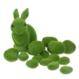 ��؈����̦�\ʯ�^ֲë��ĭС��΢���^�辰�bGɫ��ֲ̦����