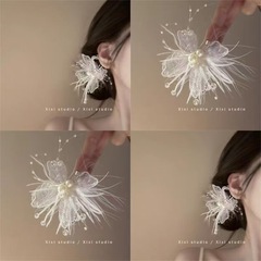 髪の間の蝶の精霊の超仙の雰囲気感レースの羽の真珠のヘアピンの高級感の小さい大衆のサイドクリップ