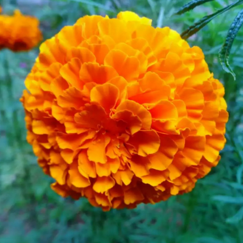 ҵ΢Žͼ_16626014045433