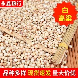 豆类;麦类;其他五谷杂粮