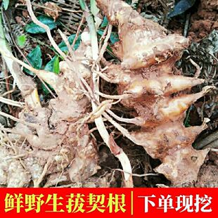 ���r����500�˽����� �����ٸ����� �����Ҝ�ԭ�Ͻ�����Ƭ�]��؛