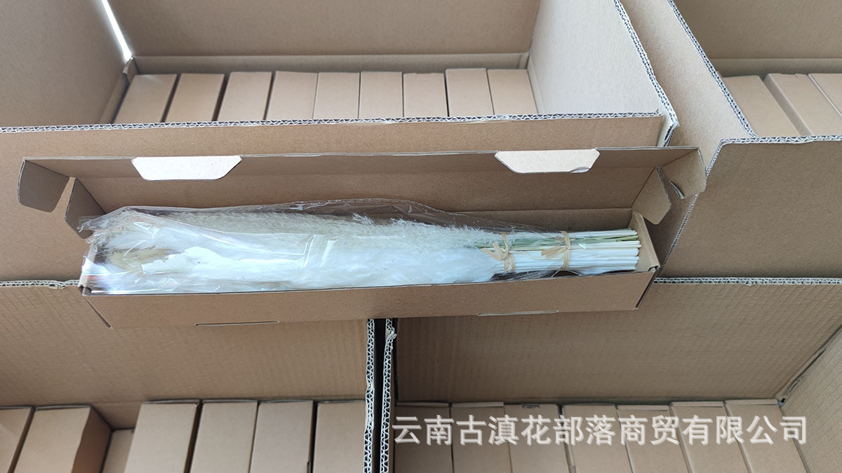 bd9975de15f7c7f1ddfac2adc4660d