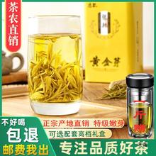 黄金芽茶叶2023年新茶安吉春茶级白茶绿茶250g礼盒装黄金茶