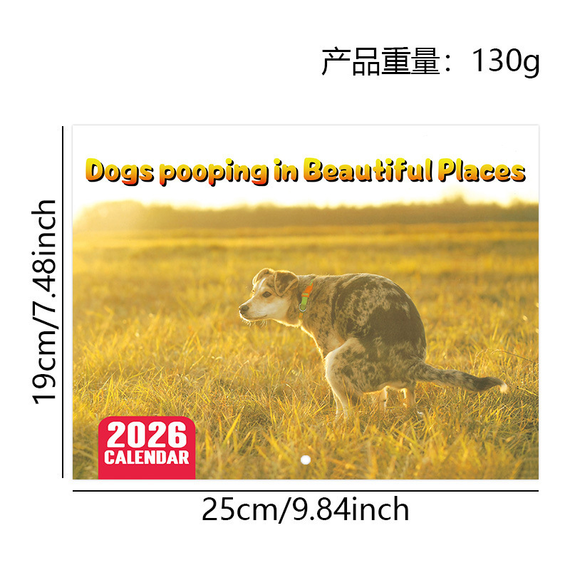 クロスボーダー新製品 2026 カレンダー 壁掛けカレンダー ワークキャット ワークドッグ カンフーキャット キャットワールドカップ|undefined