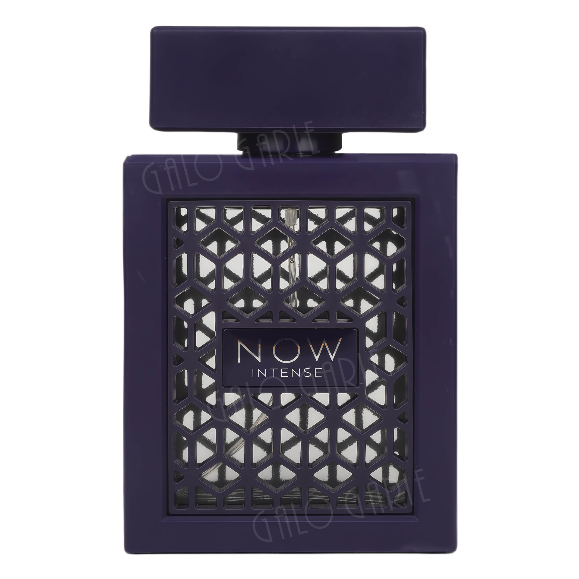 Perfume de comercio exterior transfronterizo MZ-202C Oriente Medio 100ml fabricante de perfume árabe al por mayor