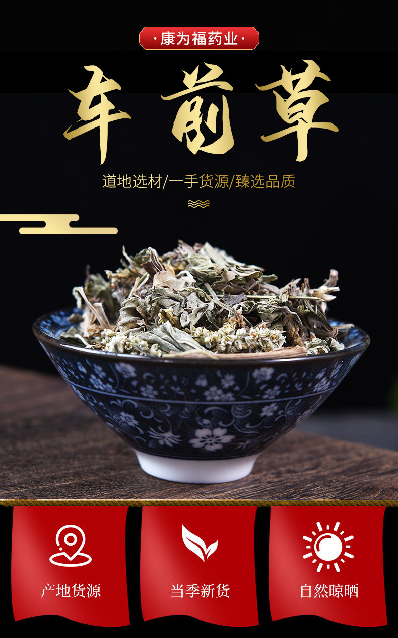 Plantain Herb Powder (Plantago asiatica) — Che Qian Cao Botanical Powder, 500g overview