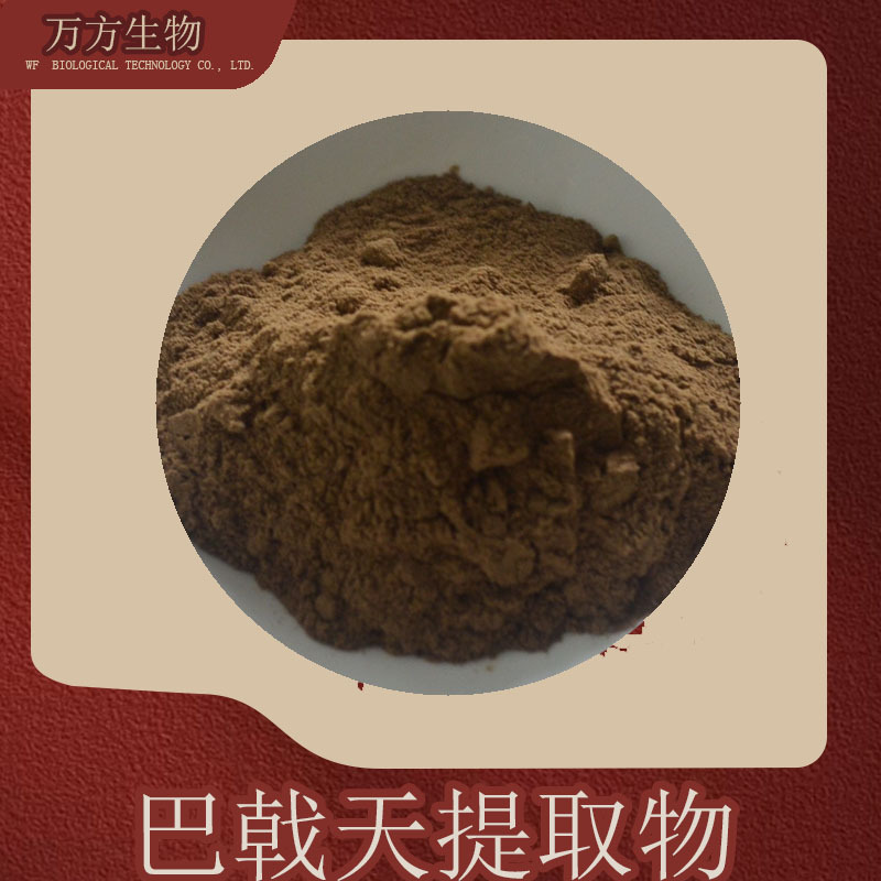 巴戟天皂苷80%巴戟天皂苷万方现货供应品质可靠巴戟天提取物