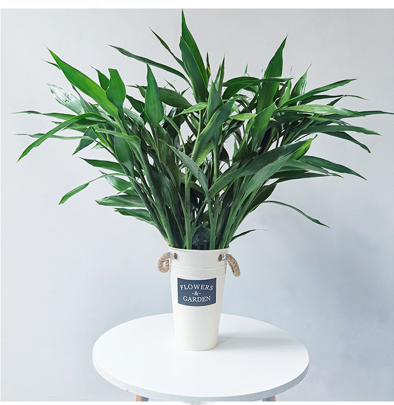 51849603-26ee-4de4-afd1-c2a155d8a24d.jpe