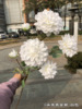 White wedding simulation flower wholesale Korean show wind, white wedding road, flowers, blooming hands, fake flowers