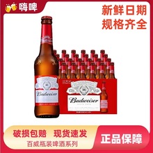 百/威啤酒330ml*24瓶整箱批发多规格355ml铝瓶精酿啤酒现货新日期